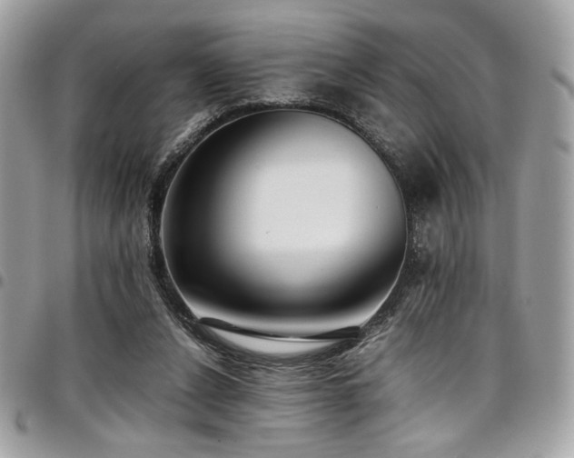 X0000097300256200802151445