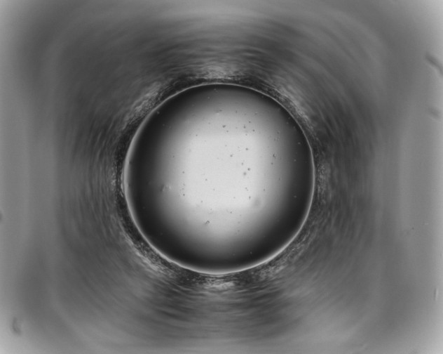 X0000097300257200802151445