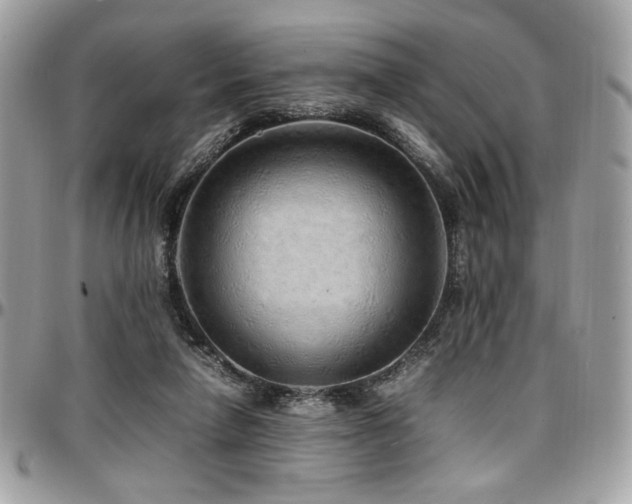 X0000097300258200802151445