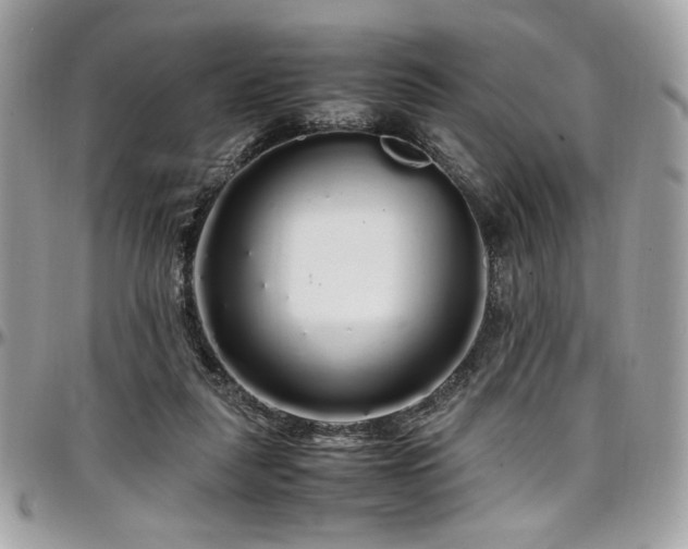 X0000097300259200802151445