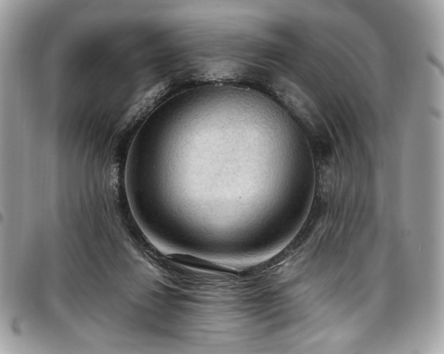 X0000097300260200802151445