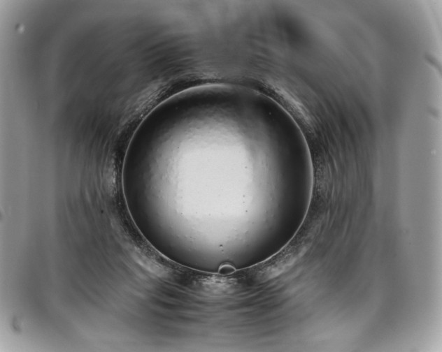 X0000097300261200802151445
