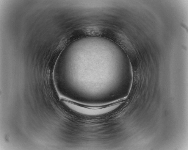 X0000097300263200802151445