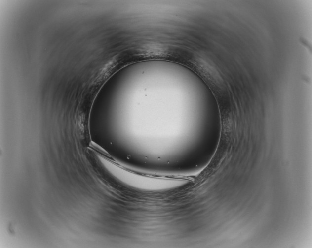 X0000097300264200802151445