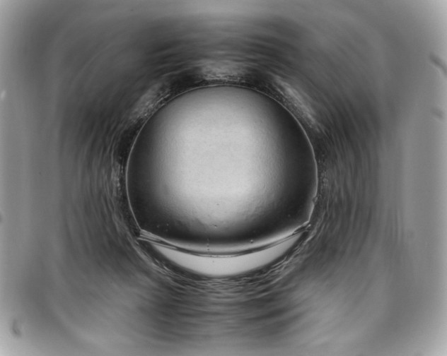 X0000097300265200802151445