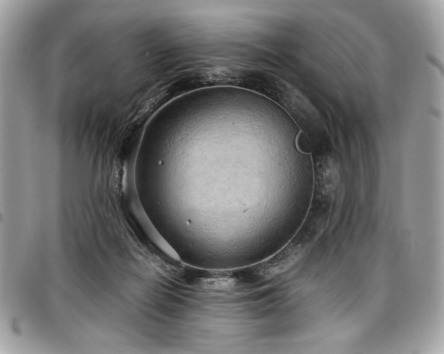 X0000097300266200802151445