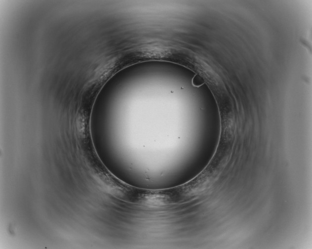 X0000097300268200802151445