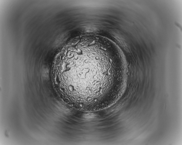 X0000097300269200802151445