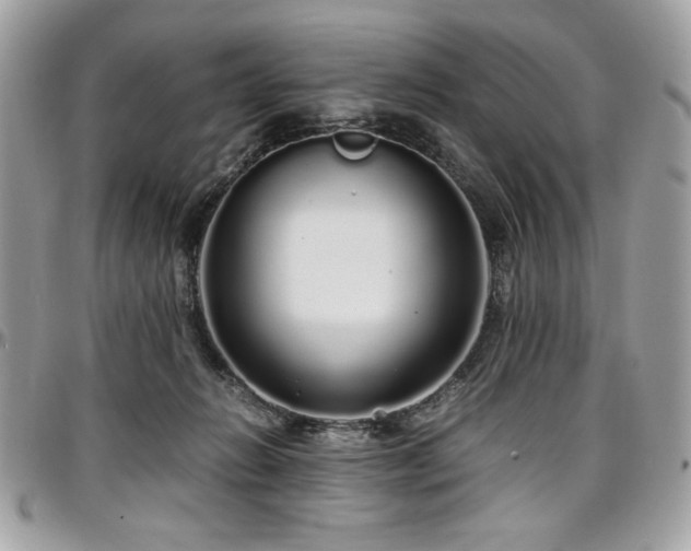 X0000097300270200802151445