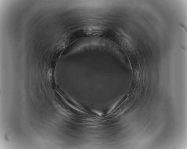 X0000097300271200802151445
