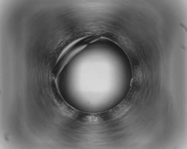 X0000097300272200802151445