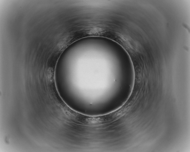 X0000097300273200802151445