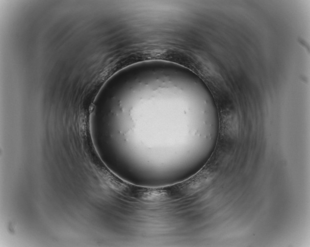 X0000097300274200802151445