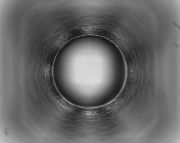 X0000097300275200802151445