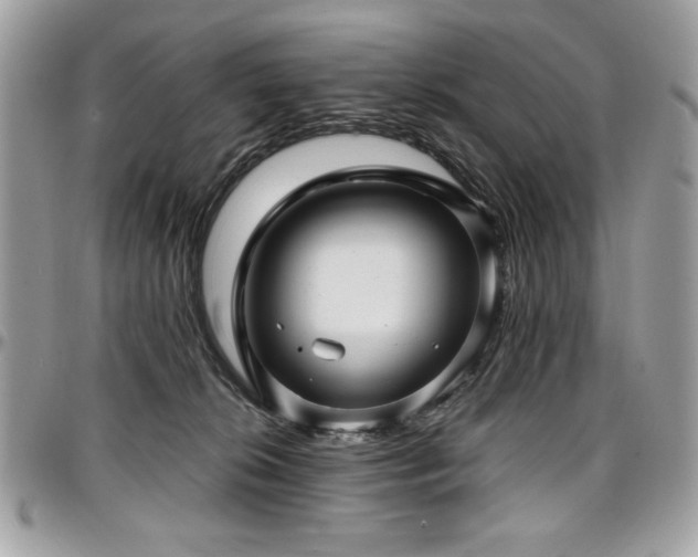X0000097300276200802151445