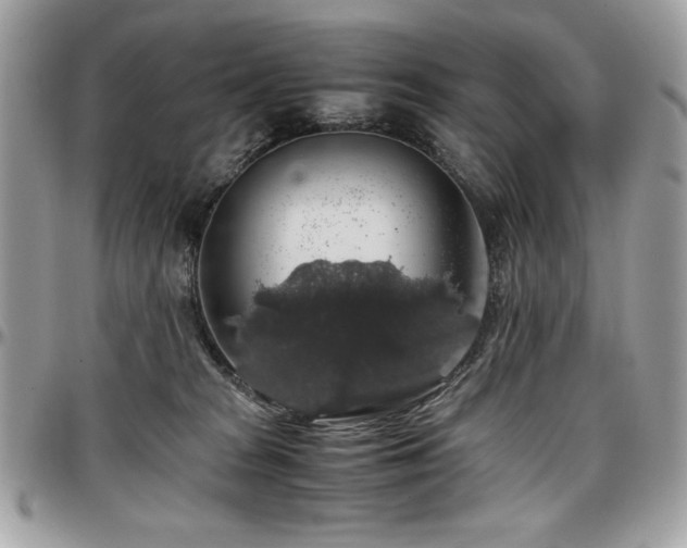 X0000097300277200802151445