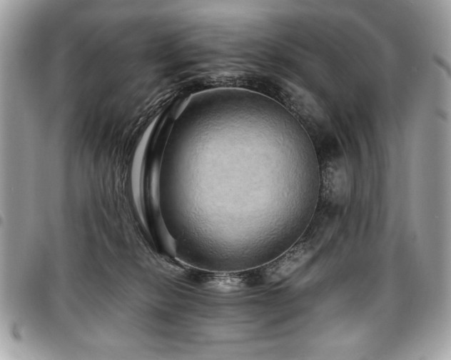 X0000097300278200802151445