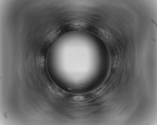 X0000097300279200802151445