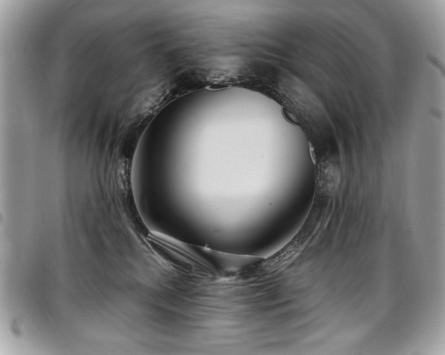 X0000097300280200802151445