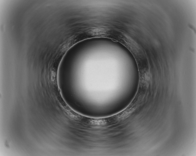 X0000097300281200802151445