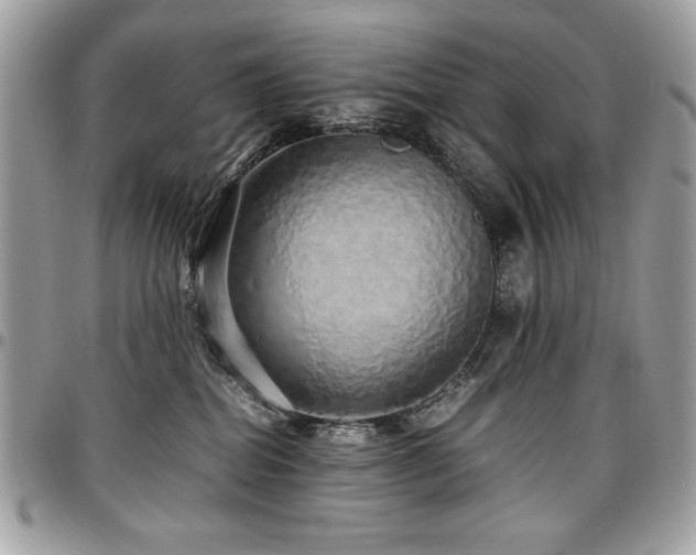 X0000097300282200802151445