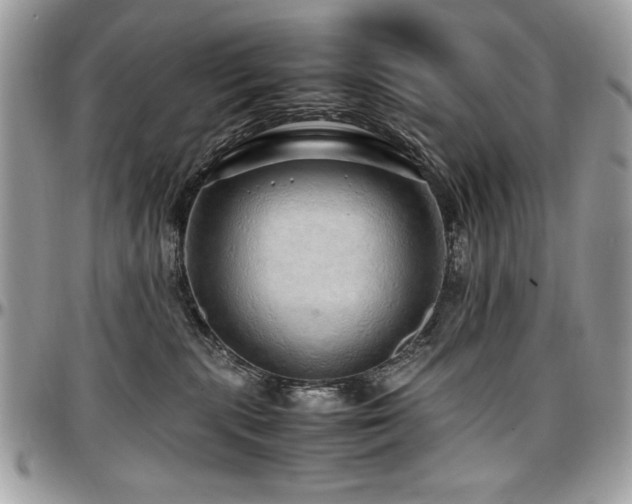X0000097300283200802151446