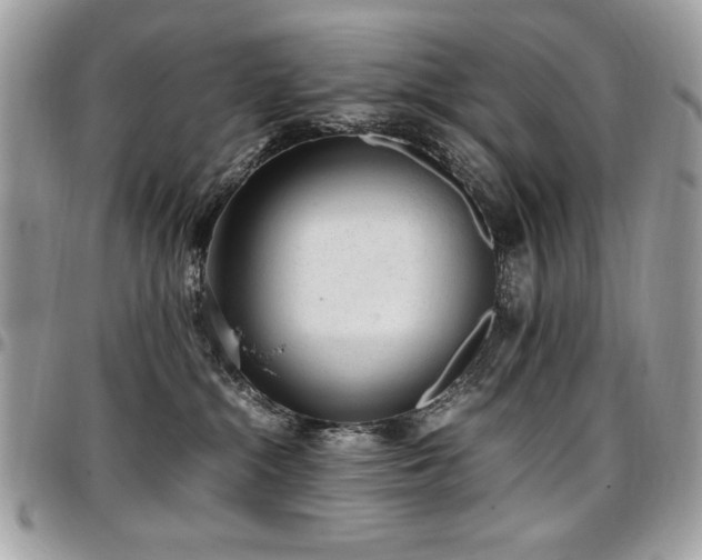 X0000097300284200802151446