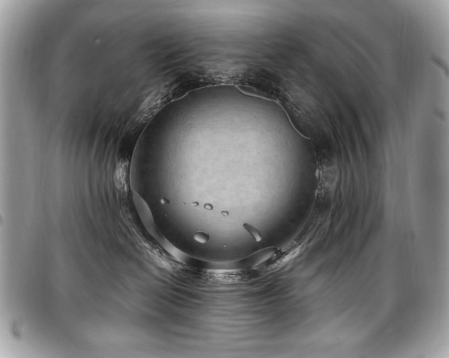 X0000097300286200802151446