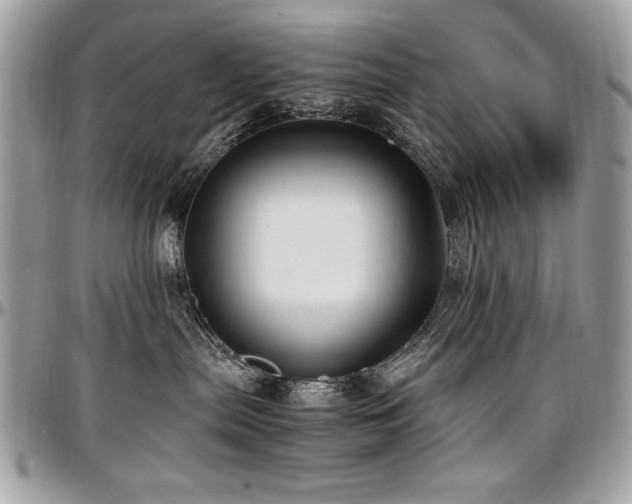 X0000097300287200802151446