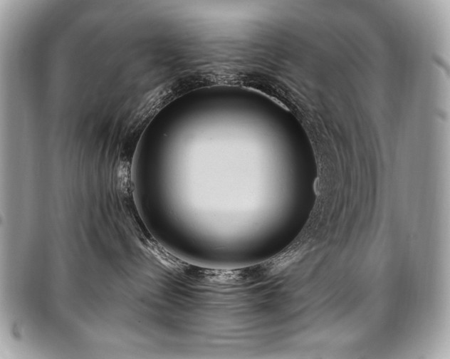 X0000097300288200802151446