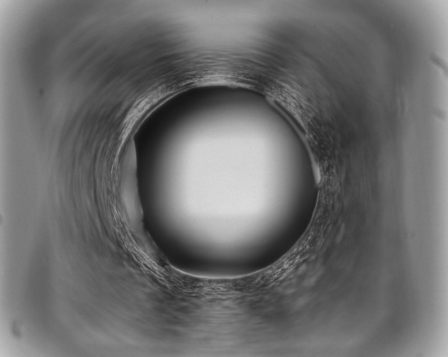 X0000097300289200802151445