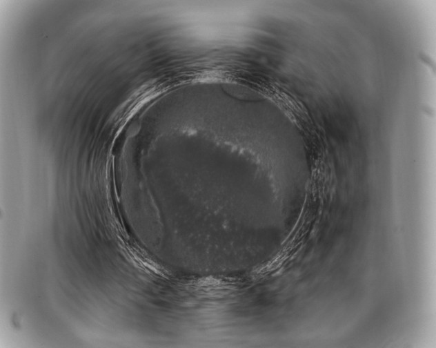 X0000097300290200802151445