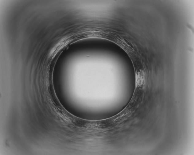 X0000097300291200802151445