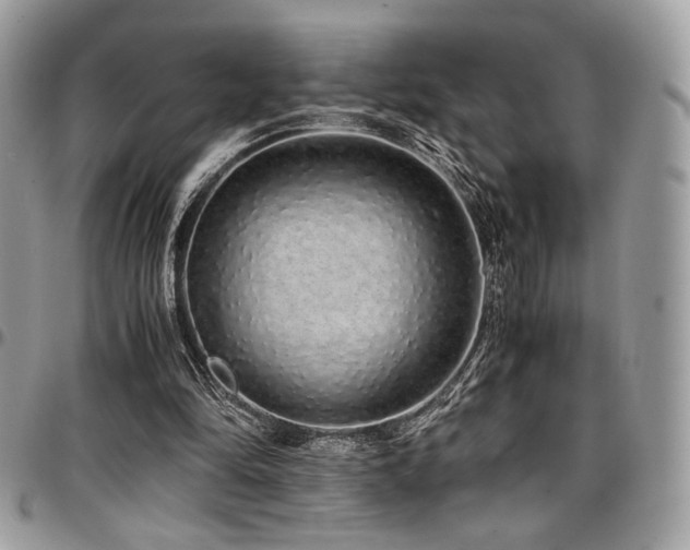 X0000097300294200802151445