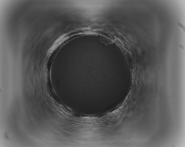 X0000097300295200802151445
