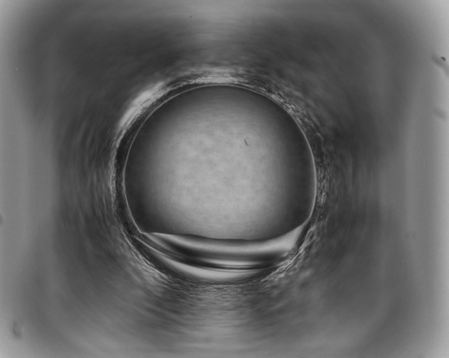 X0000097300296200802151445