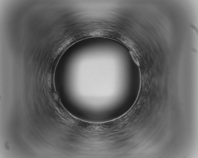 X0000097300297200802151445