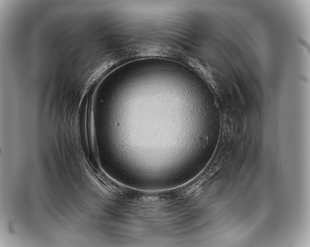 X0000097300298200802151445