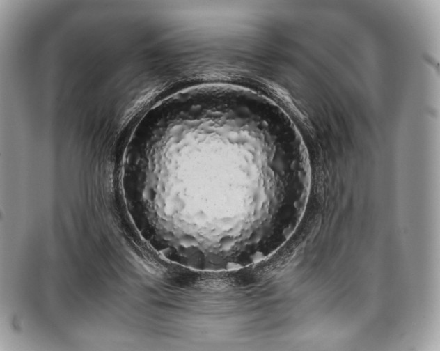 X0000097300299200802151445