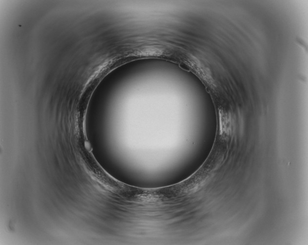 X0000097300300200802151445
