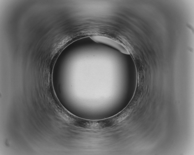 X0000097300301200802151445