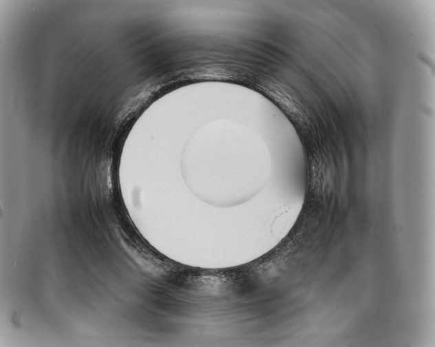 X0000097300302200802151445