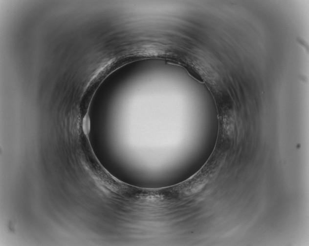 X0000097300304200802151445