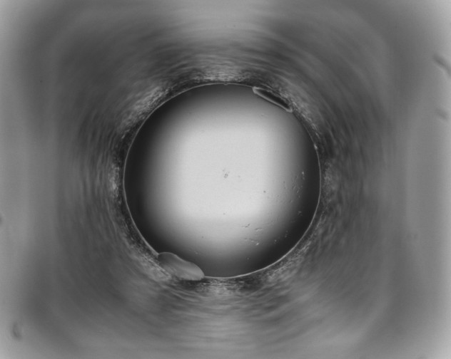 X0000097300305200802151445