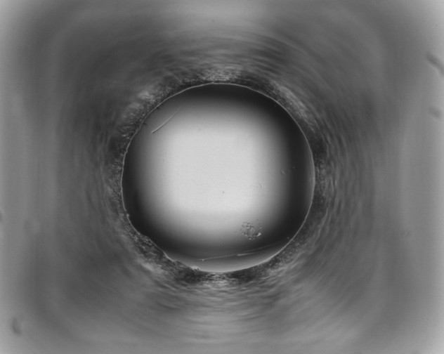 X0000097300307200802151445
