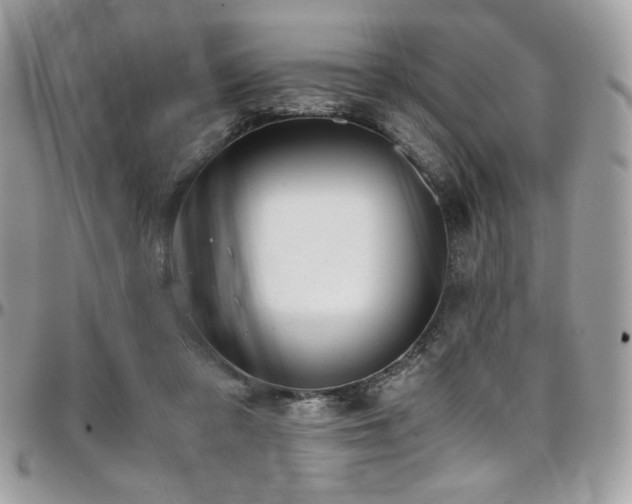 X0000097300309200802151445