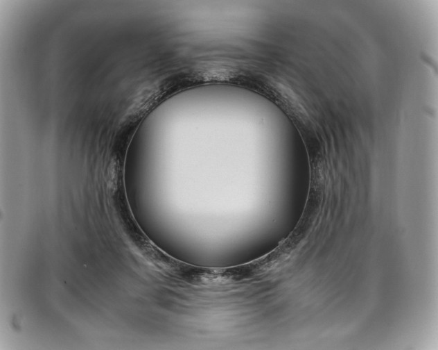 X0000097300311200802151445