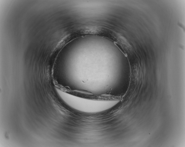 X0000097300312200802151445