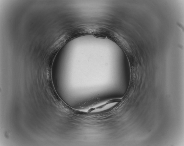 X0000097300313200802151445