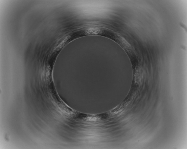 X0000097300314200802151445